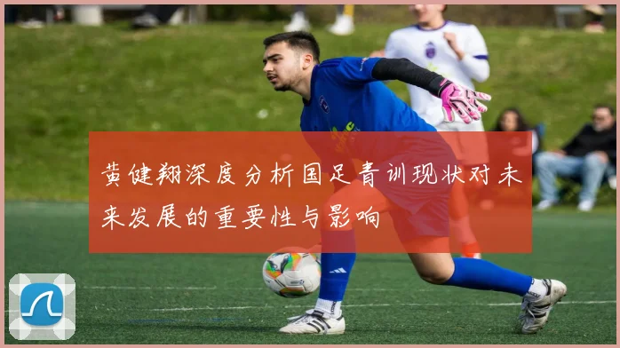 黄健翔深度分析国足青训现状对未来发展的重要性与影响