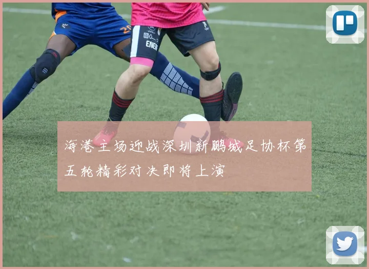 海港主场迎战深圳新鹏城足协杯第五轮精彩对决即将上演